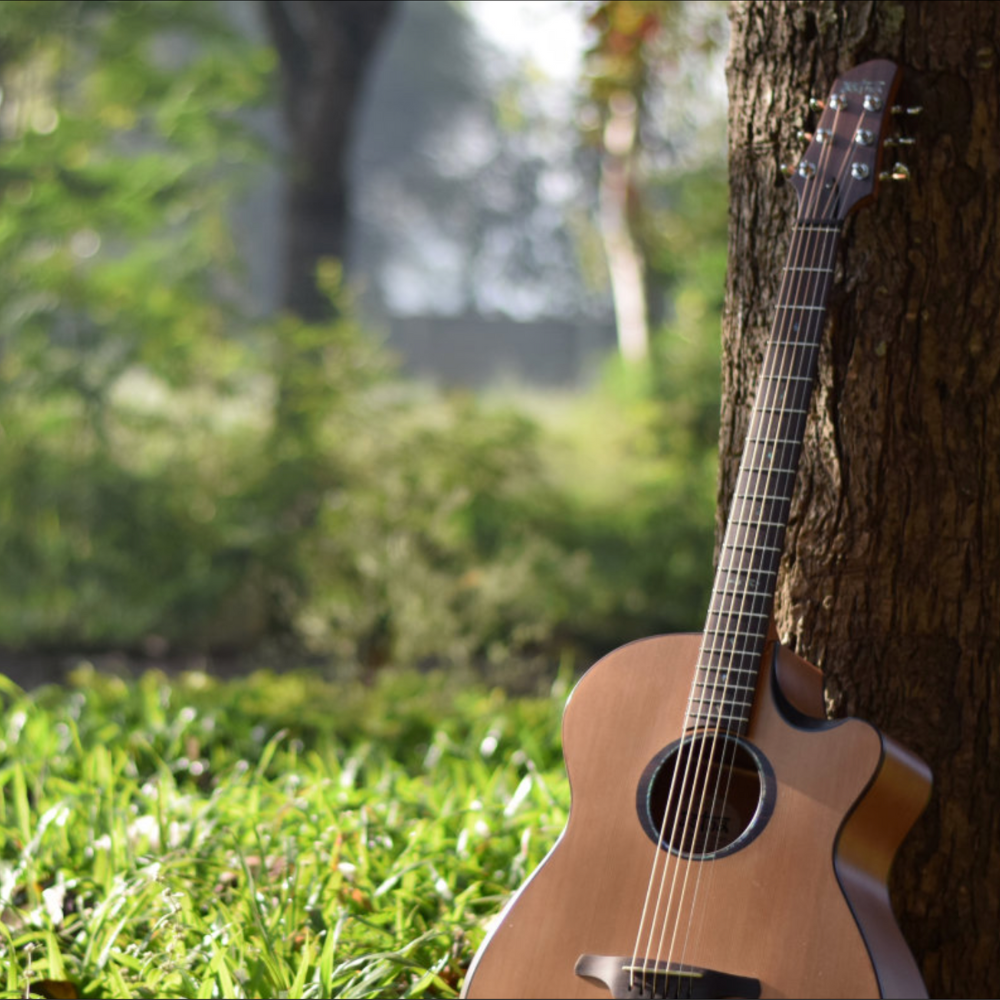 astha guitars astha guitars